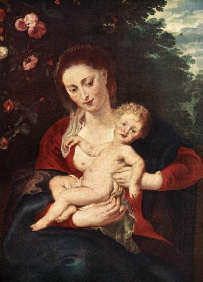 RUBENS, Pieter Pauwel Virgin and Child oil painting picture